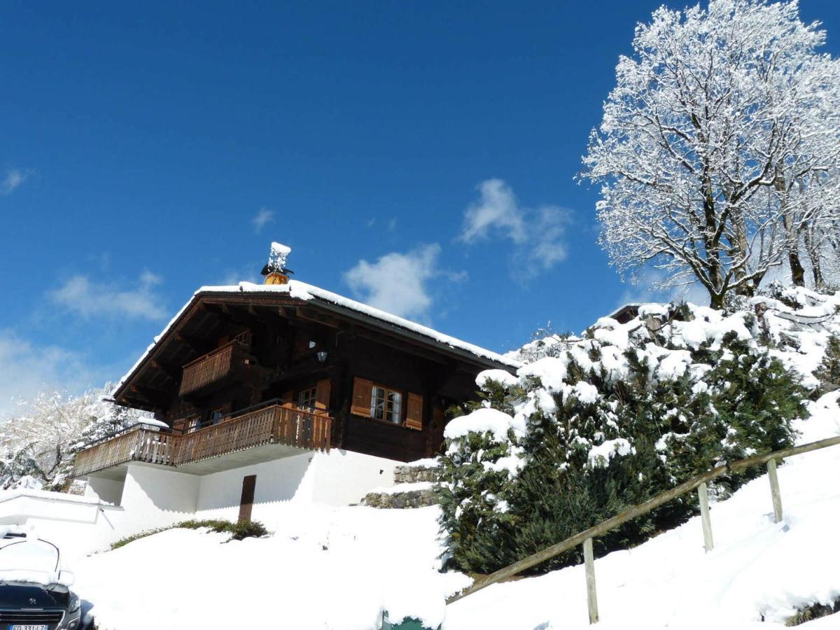 Villa Chalet 8 Pers, Proche Pistes, 3***, Balcon, Cheminee - Fr-1-304-243 La Clusaz Exterior foto